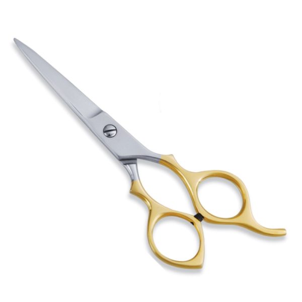 Economy Hair Scissor