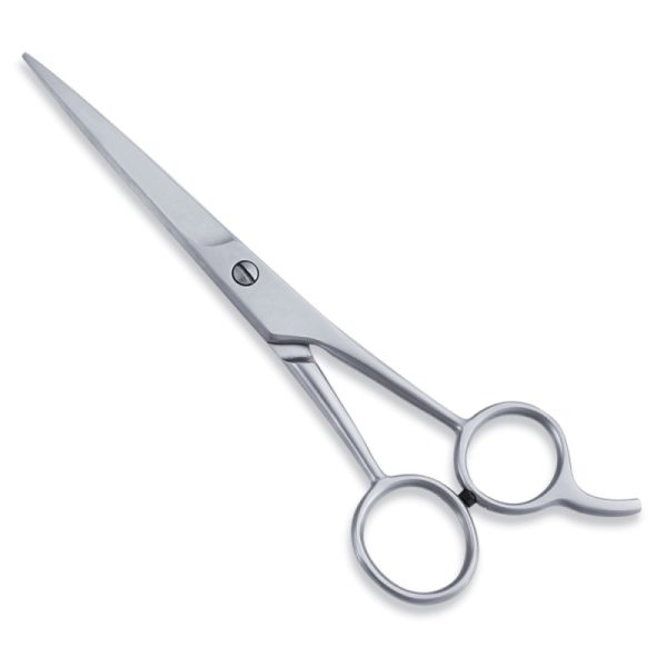 Economy Hair Scissor