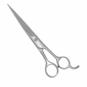 Professional Hair Cutting Shear